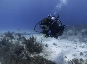 Scuba Diving, Diving, Diving in Bali, Marine Life, Dive Sites, Bali Diving
