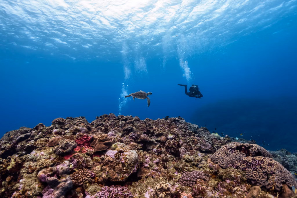 Female scuba diver exploring the vibrant marine life in Bali's sea.