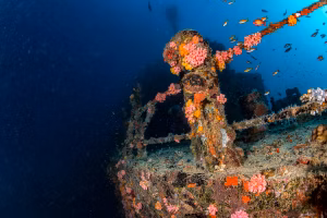 USS Liberty Shipwreck in Bali, Indonesia - Indian Ocean