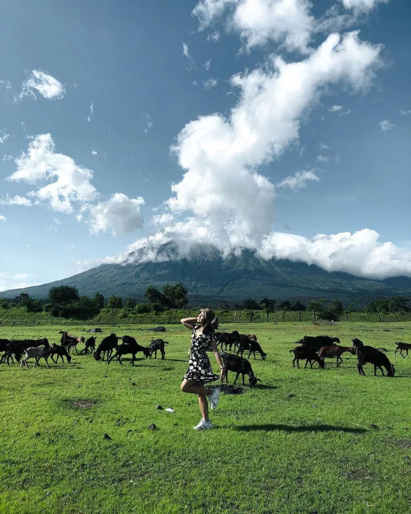 Kubu hidden gem, savana tianyar