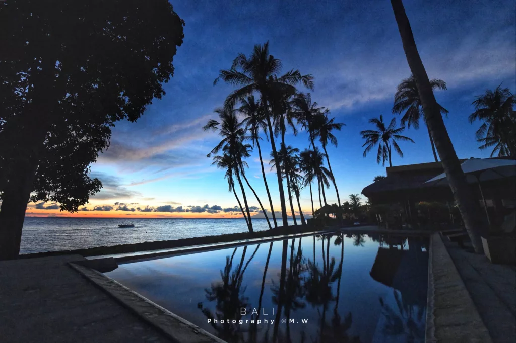 Beautiful sky with palm tree - Bali Dive Resort