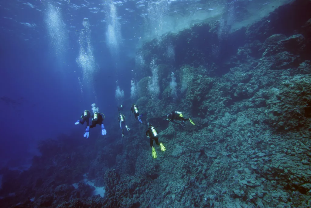 Diver at a reef