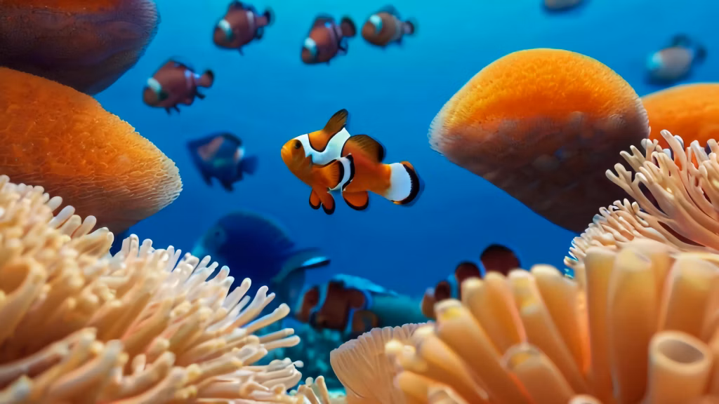 fish tank with variety corals other fish