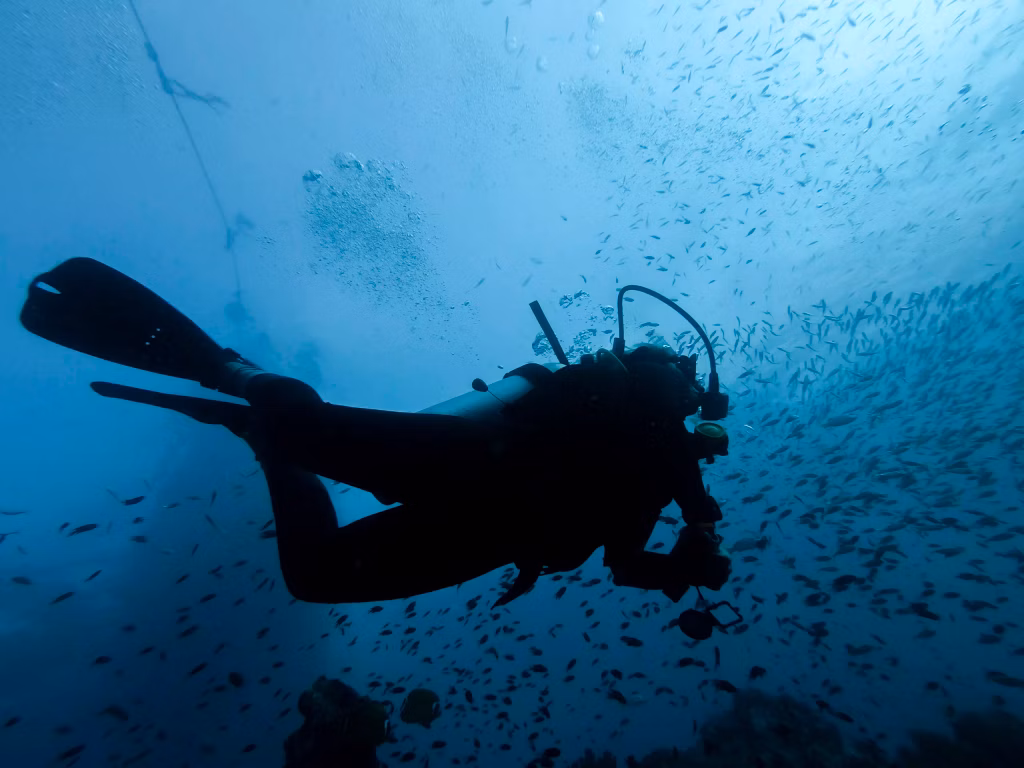 Scuba diving - diver silhouette in the reef, ko lanta island thailand