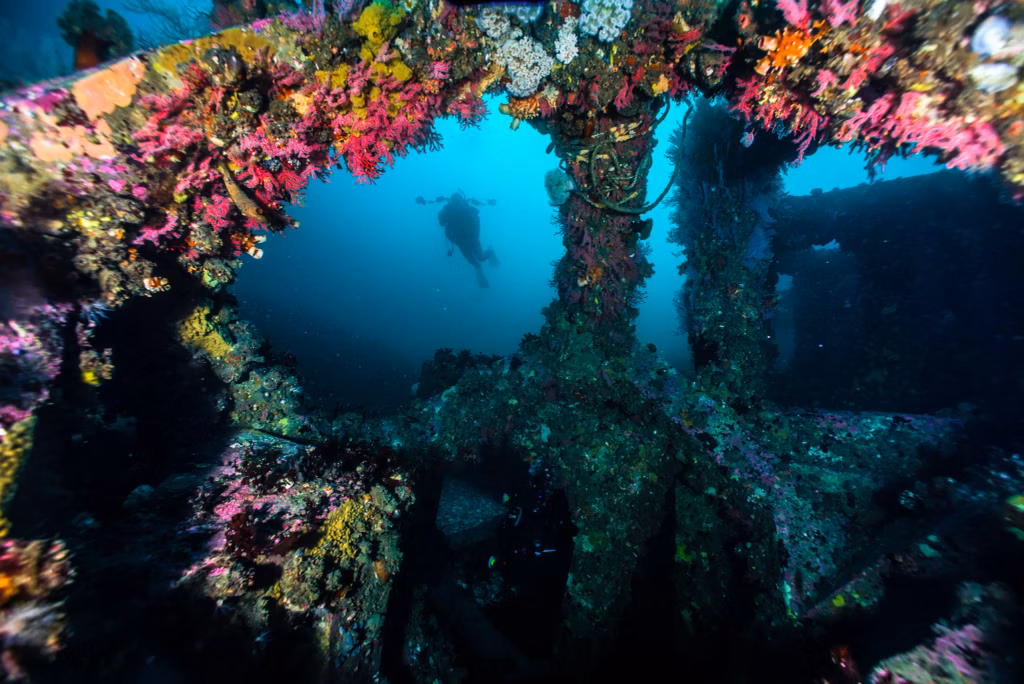 Bali Dive Sites, Diving, Scuba Diving, Diving in Bali, Bali Diving