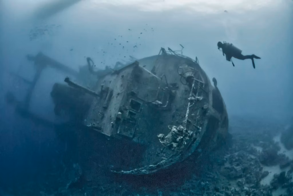 Diver exploring the shipwreck Cedar Pride in Aqaba - Bali Dive Resort