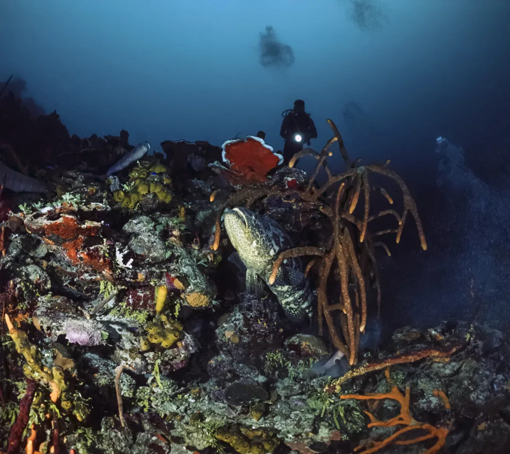 diving in Bali