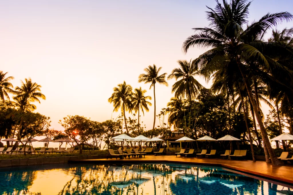 Silhouette coconut palm tree with umbrella and chair at sunrise time around outdoor swimming pool in hotel resort - Bali dive resort