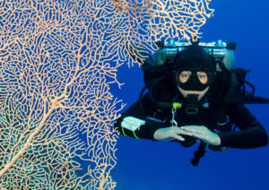 Top Hidden Place in Bali with Bali Diving Course, USS Liberty Wreck
