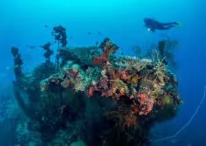 bali diving courses at boga wreck kubu bali, USS Liberty Wreck
