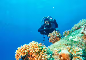 Bali The Best Place to See Boga Wreck, Bali Diving Course, USS Liberty Wreck, Diving Course in Bali