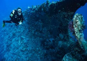Explore the USS Liberty Wreck with Bali diving courses.