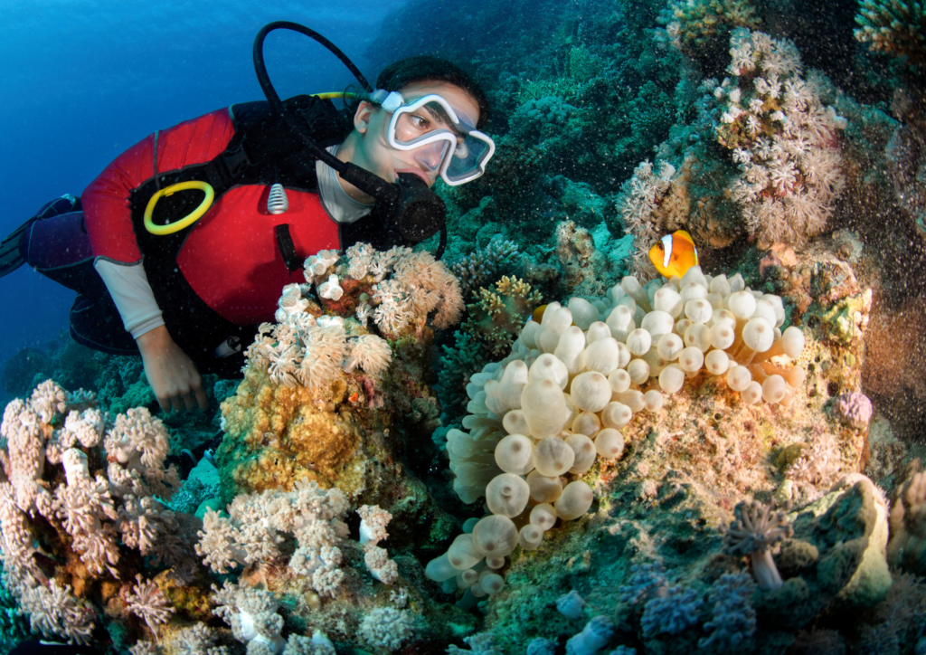 Know About The Underwater World with Bali Diving Courses - Diving Course in Bali