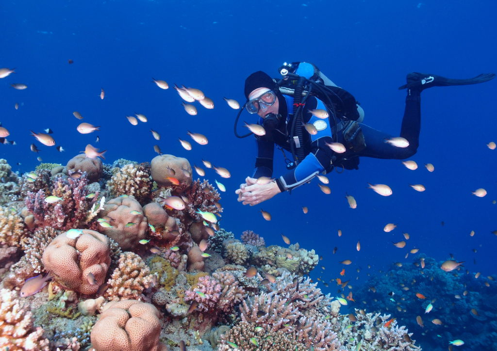 Bali Hidden Diving Gems that is Coral and Reef in Tulamben With a Good Instructor from Bali Diving Courses