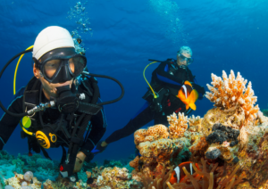 Benefit from Bali Diving Courses