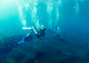 Open water diving courses in Bali