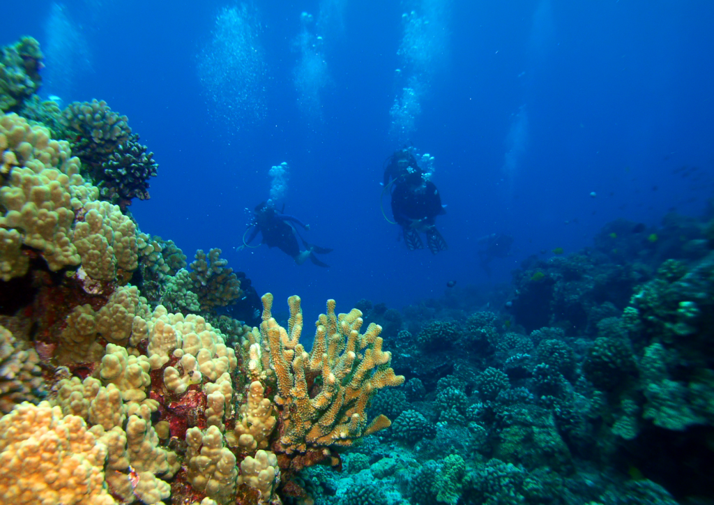 a man learn open water diving