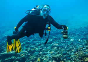 Bali Open Water Diving Courses: Learn to Dive in Bali